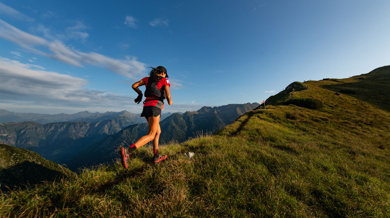 Finish Strong: The Low-Carb Fuel Switch -  Insulin and how bears switch fuels