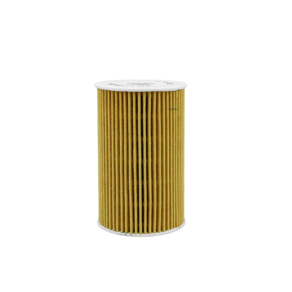 Oil Filter for Audi A3 A4 A6 Q3 Q5 TT Skoda Volkswagen Amarok Golf Ref  R2701P
