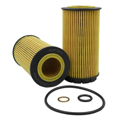 Oil Filter for Kia Sportage II 2.0 CRDi 4WD Ref  R2650P