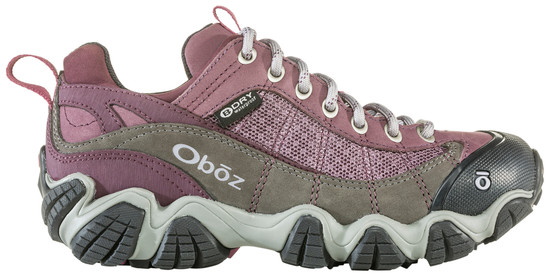 Women's Firebrand II Low Waterproof