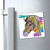 Live a Colorful Life Zebra Design Magnets