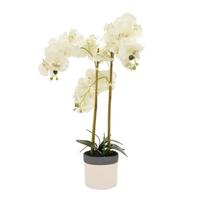 Faux Orchid Flower Pot In White Porcelain Plutus PBTH93318