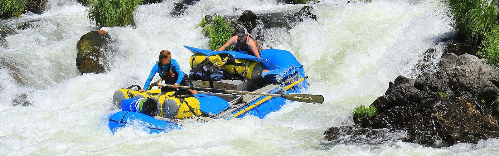 Sawyer Paddles and Oars