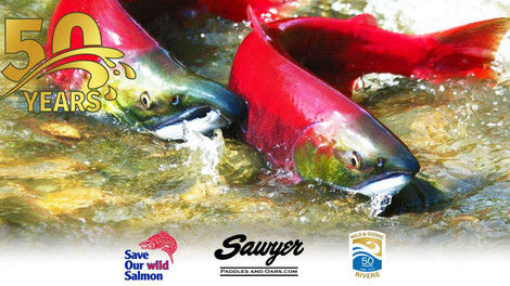 Artist Profiles – Link Jackson, Sawyer Artisan Series Oars