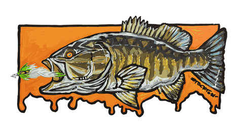 Smallmouth Bass Are A Big Deal