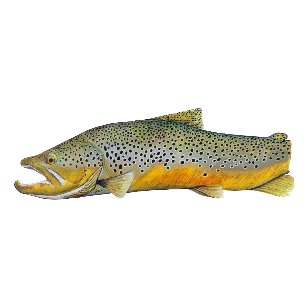 Ty Hallock brown trout artwork detail