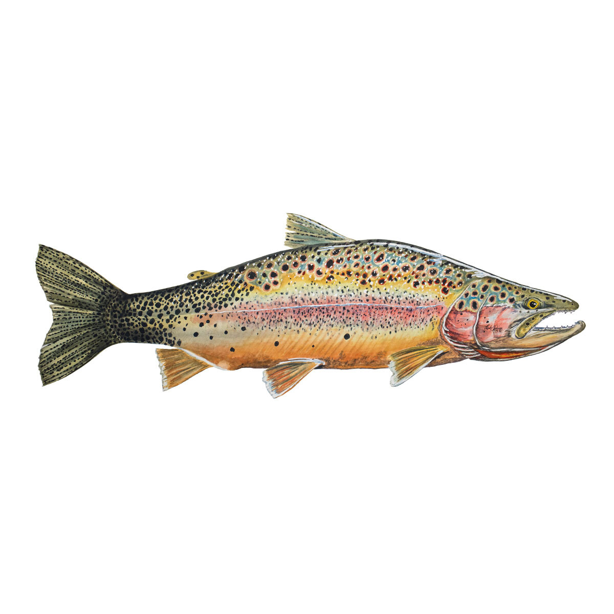 Link Jackson Sawyer Artisan Series artwork - Cutty Rain Brown