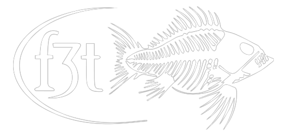 Fly Fishing Film Tour logo