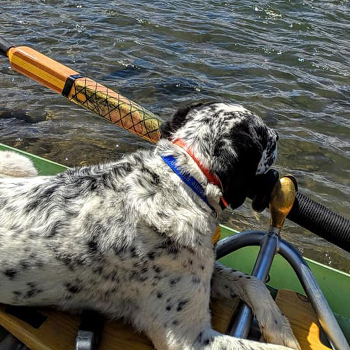Hutch Hutchison fishing and rowing in Colorado