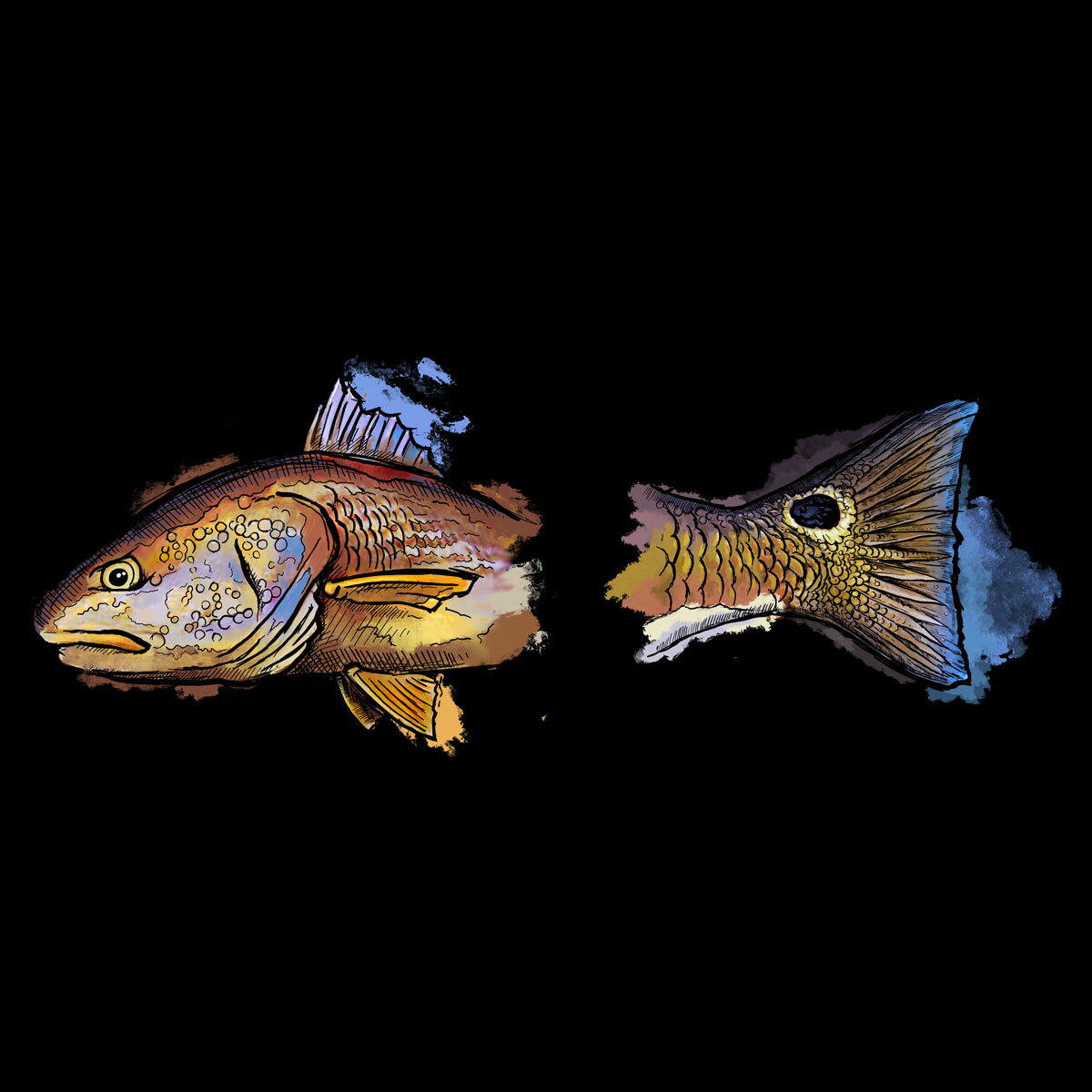 Ed Anderson Redfish artwork