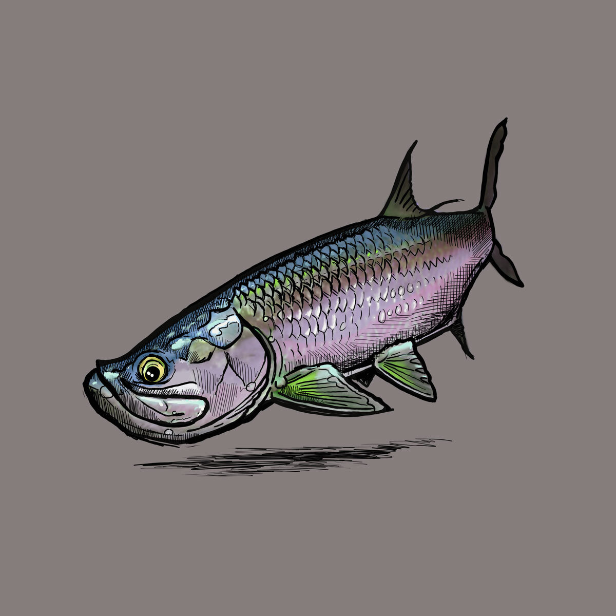 Ed Anderson tarpon artwork detail