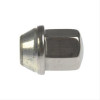Dodge Ram wielmoer chroom staand