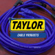 Taylor