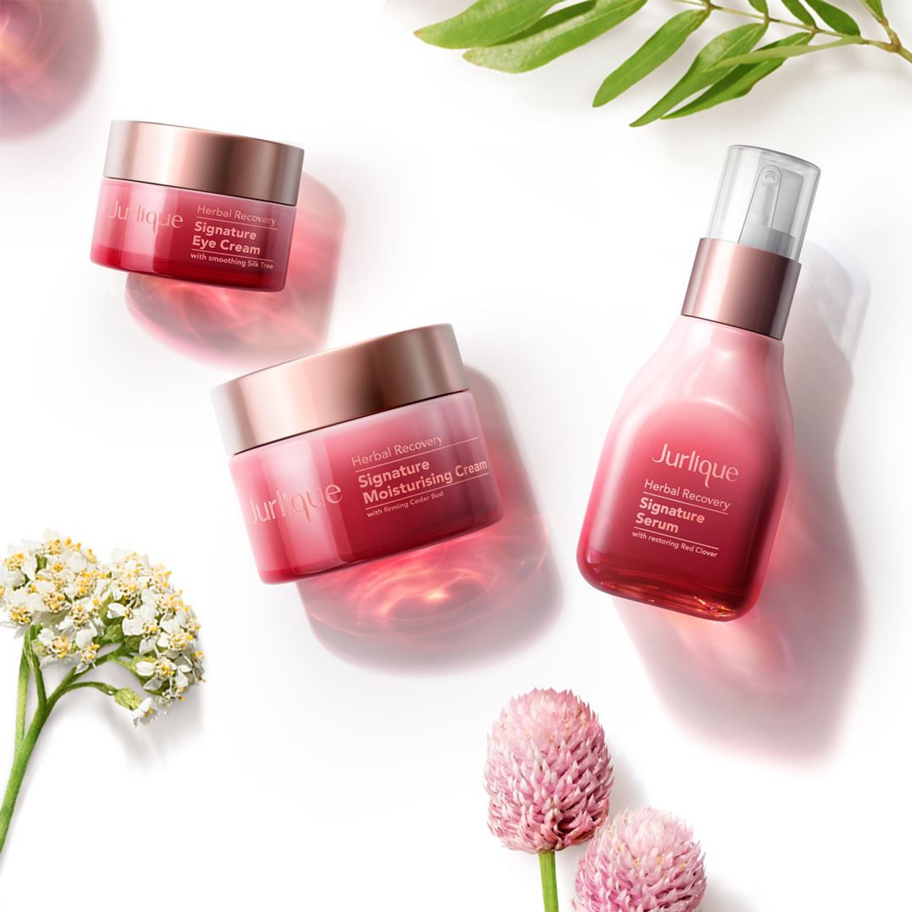 Jurlique Herbal Recovery Signature Eye Cream Saybine