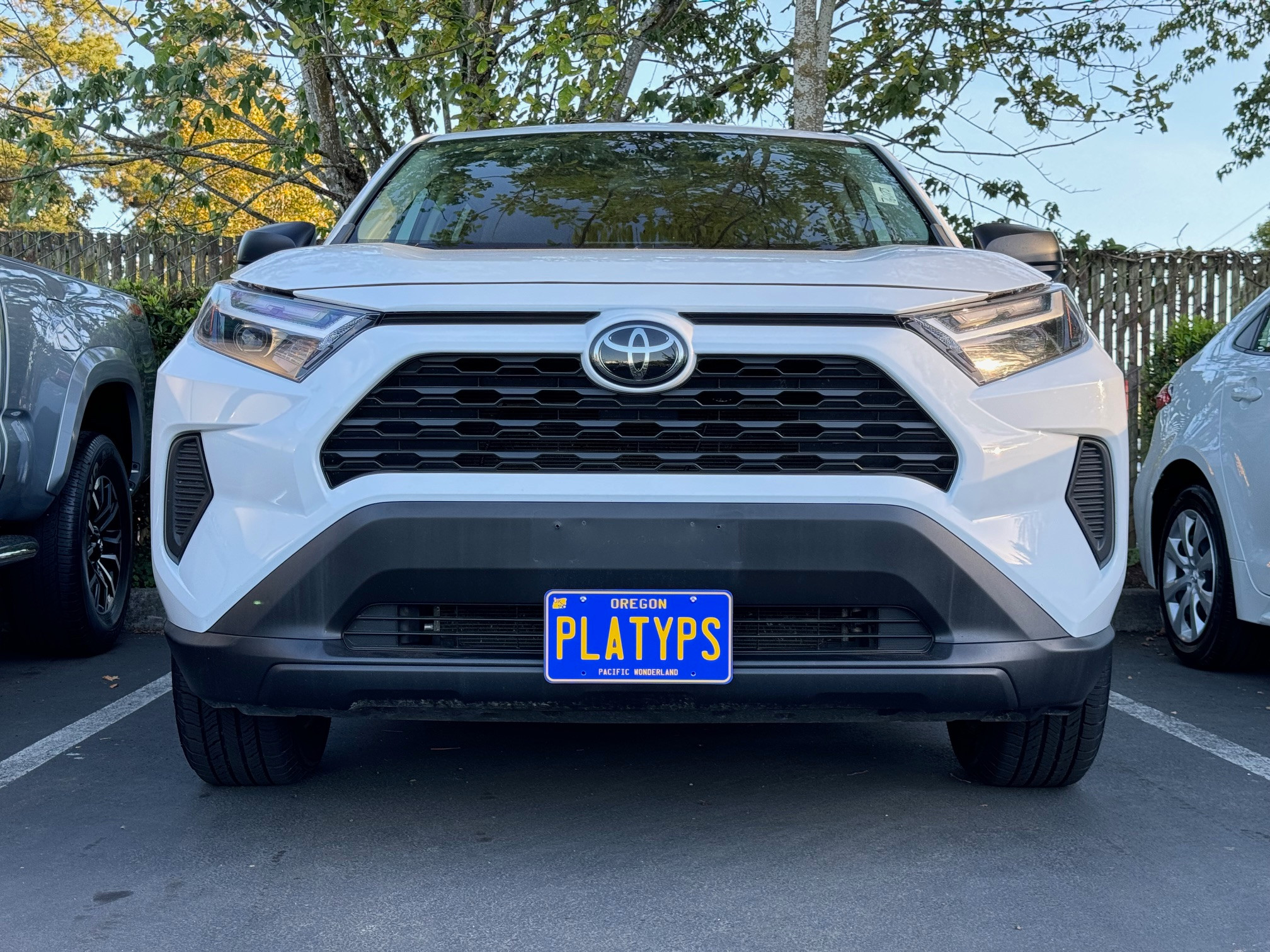 Toyota RAV4 Front License Plate Bracket | Front Plate Holder | CravenSpeed