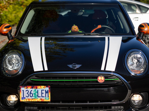 Decal Sets for MINI Clubman F54 2016 to 2024 Bonnet Split Stripes Gloss White