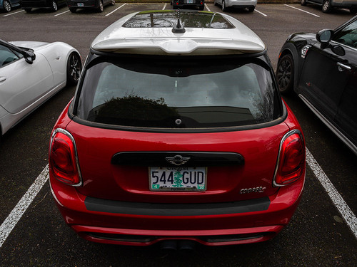 Blackout Beltline Trim Kit installed on MINI Coooper
