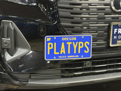 The Platypus License Plate Mount for Audi Q4 e-tron 2022 to 2025