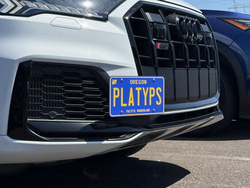 The Platypus License Plate Mount for Audi SQ7 4M 2020 to 2026