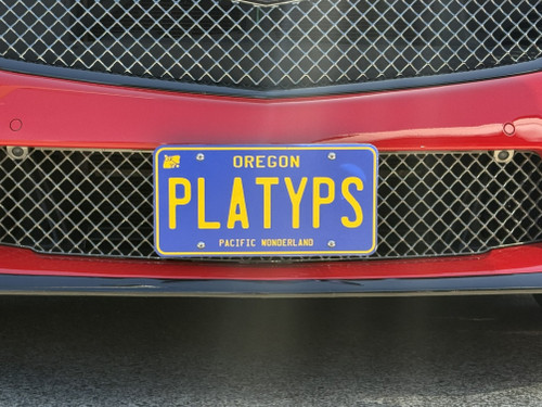 The Platypus License Plate Mount for Cadillac CTS-V 3rd gen 2016 to 2019