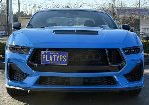 The Platypus License Plate Mount for Ford Mustang 7th gen 2024 to 2024 GT