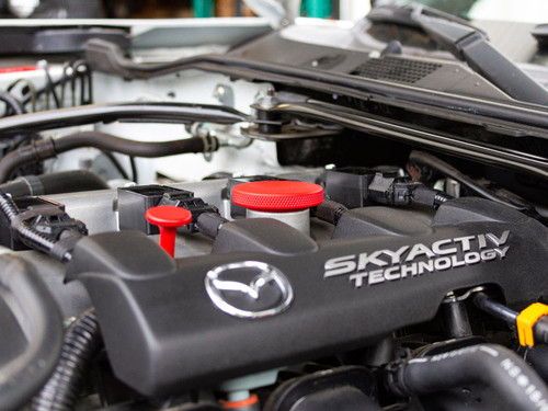 Engine Bay Accent Kit Dipstick Hand and Oil Filler Cap 