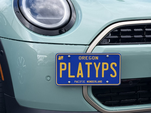 The Platypus License Plate Mount for MINI Convertible F67 2025 to 2026