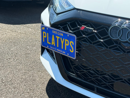 The Platypus License Plate Mount for Audi RS 3 3rd gen 8Y 2022 to 2026 2025+