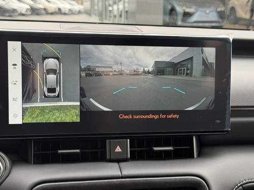 When installed correctly, the Platypus License Plate Mount should not interfere with the parking/proximity sensors. 