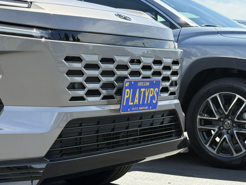 The Platypus License Plate Mount for Toyota RAV4 6th gen XA60 2026 to 2027 LE, SE, XLE, XSE, Limited, GR Sport