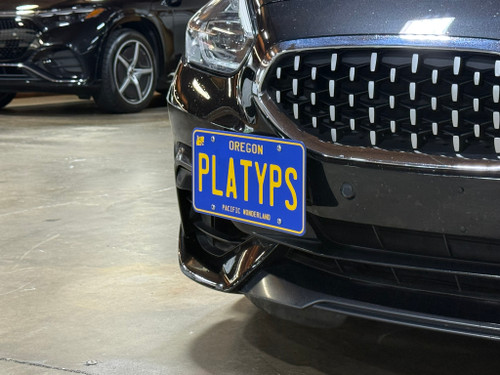 The Platypus License Plate Mount for BMW Z4 G29 2019 to 2026 Pre-facelift Z4 (2019-2022)