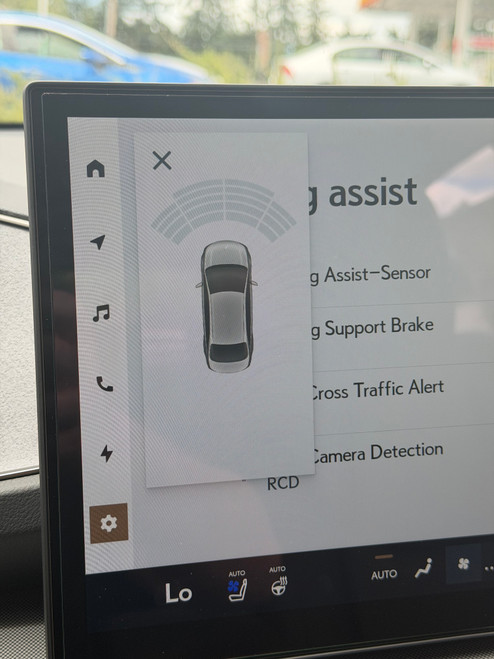 When installed correctly, the Platypus License Plate Mount should not interfere with the parking/proximity sensors
