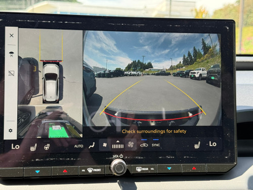 When installed correctly, the Platypus License Plate Mount should not interfere with the parking/proximity sensors. NOTE: The Platypus will be slightly visible on-screen.  