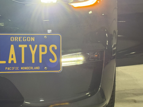 NOTE: On this vehicle, the Platypus partially obscures the daytime running lights. Customers in Canada or Europe should consult their local regulations to ensure compliance.