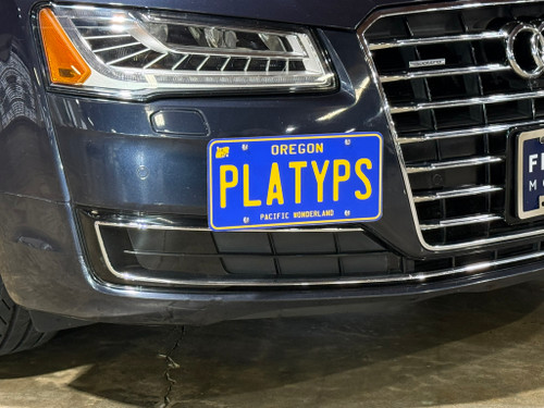 The Platypus License Plate Mount for Audi A8 3rd gen D4 2011 to 2018