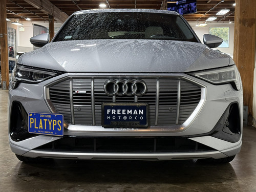 The Platypus License Plate Mount for Audi e-tron 2019 to 2023