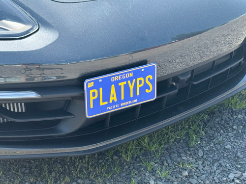 The Platypus License Plate Mount shown on 971.2 Porsche Panamera