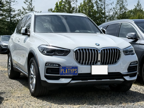 The Platypus License Plate Mount shown on a standard pre-facelift 2020 BMW X5 xDrive40i. Please see our "xDrive50i/M50i 2019-2023" listing if you own a 2019-2023 xDrive40i with the optional M Sport appearance package. 