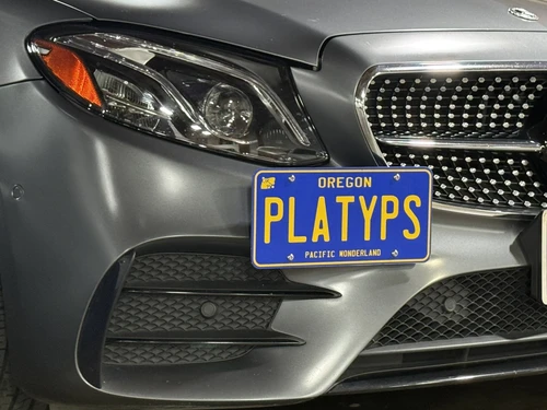 The Platypus License Plate Mount for Mercedes-Benz E-Class W213 2017 to 2023 2017-2020 (pre-facelift)