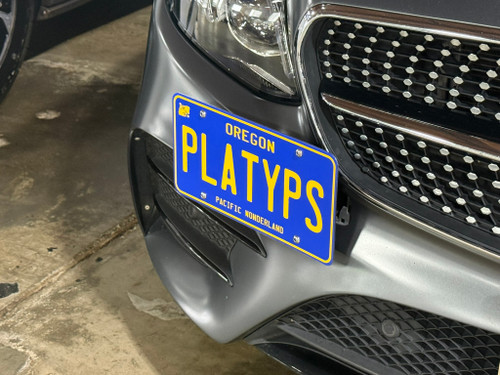 The Platypus License Plate Mount for Mercedes-Benz E-Class W213 2017 to 2023 2017-2020 (pre-facelift)