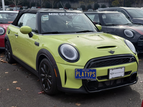 The Platypus License Plate Mount shown on LCI Cooper S