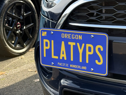 The Platypus License Plate Mount for MINI Cooper F55 2014 to 2024