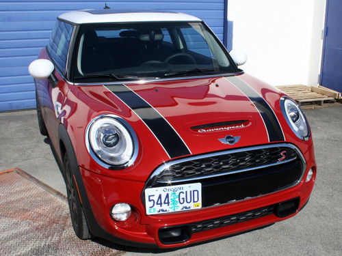 The Platypus License Plate Mount for MINI Cooper F55 2014 to 2024 Base / S (2014-2021) w/Rally Lights