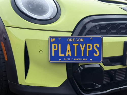 The Platypus License Plate Mount for MINI Convertible F57 2016 to 2024