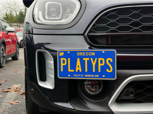 The Platypus License Plate Mount for MINI Countryman F60 2017 to 2024