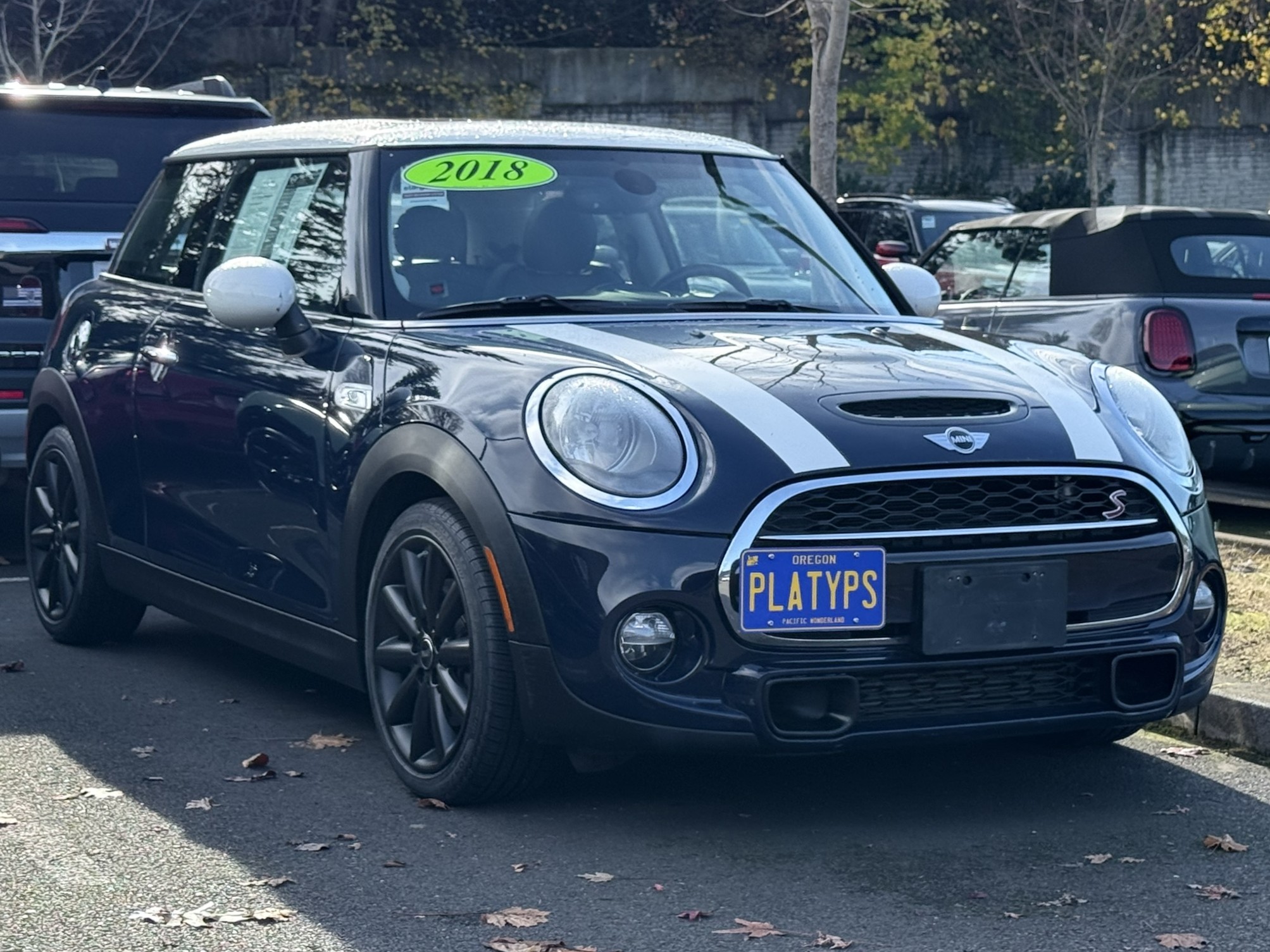 The Platypus License Plate Mount shown on Pre-LCI Cooper S