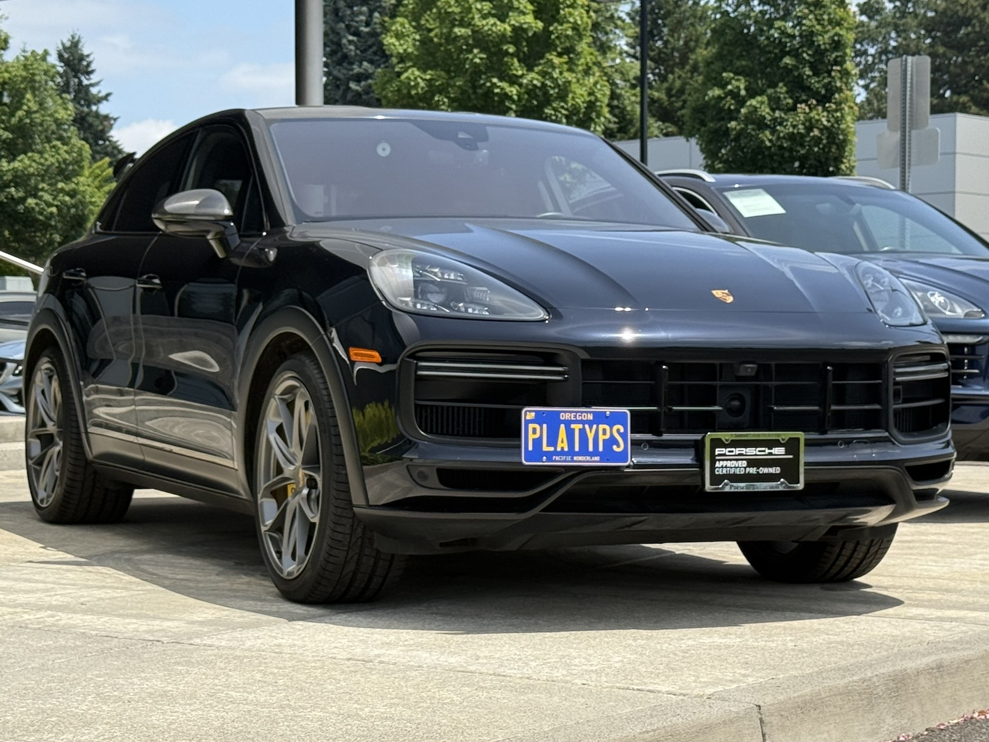 The Platypus License Plate Mount for Porsche Cayenne 9YA 2019 to 2025 2019-2023 SportDesign Package, Turbo, Turbo GT