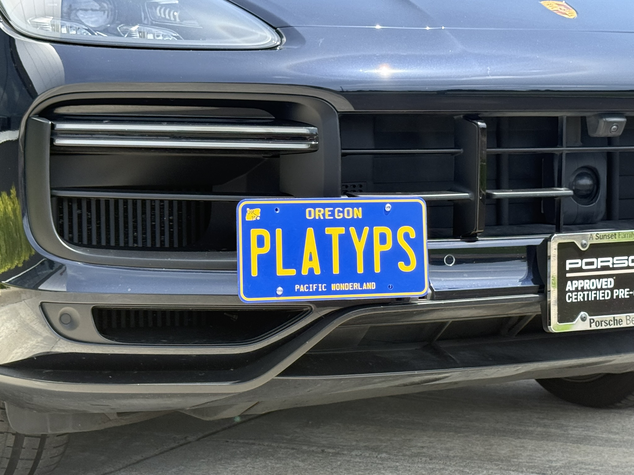 The Platypus License Plate Mount for Porsche Cayenne 9YA 2019 to 2025 2019-2023 SportDesign Package, Turbo, Turbo GT