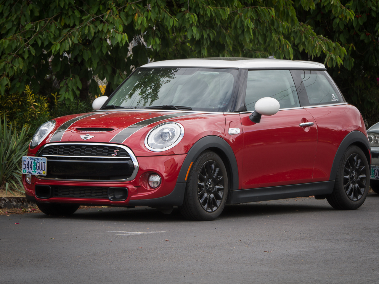 https://cdn11.bigcommerce.com/s-351ed/images/stencil/{:size}/products/20909/56340/performance-lowering-springs-for-mini-cooper-f56-2014-2019-thumbnail__73189.1626295826__85044.1703635208.jpg?c=2