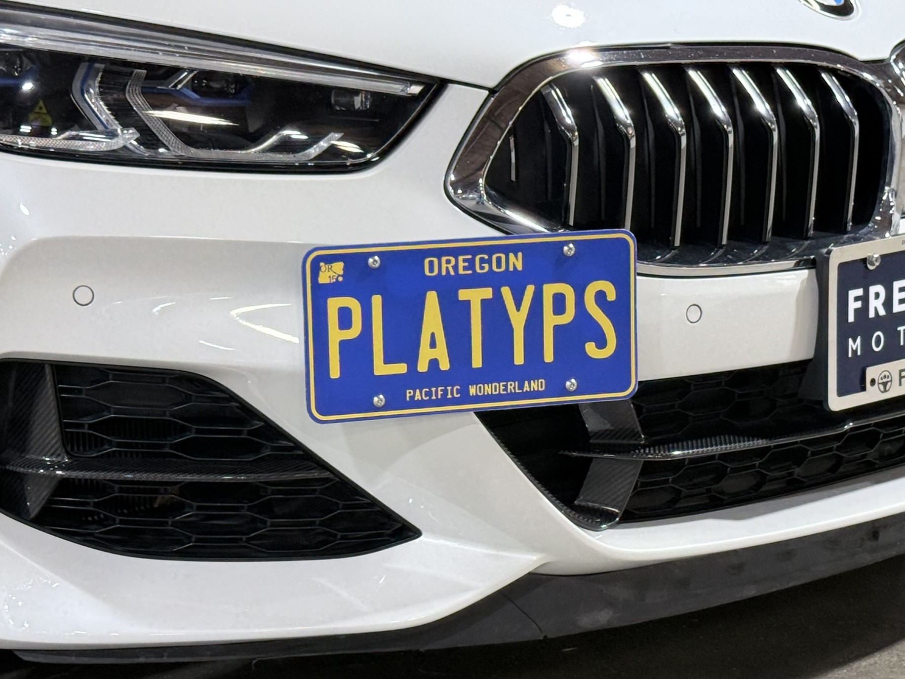 The Platypus License Plate Mount for BMW 8 Series Gran Coupe G16 2020 to 2024